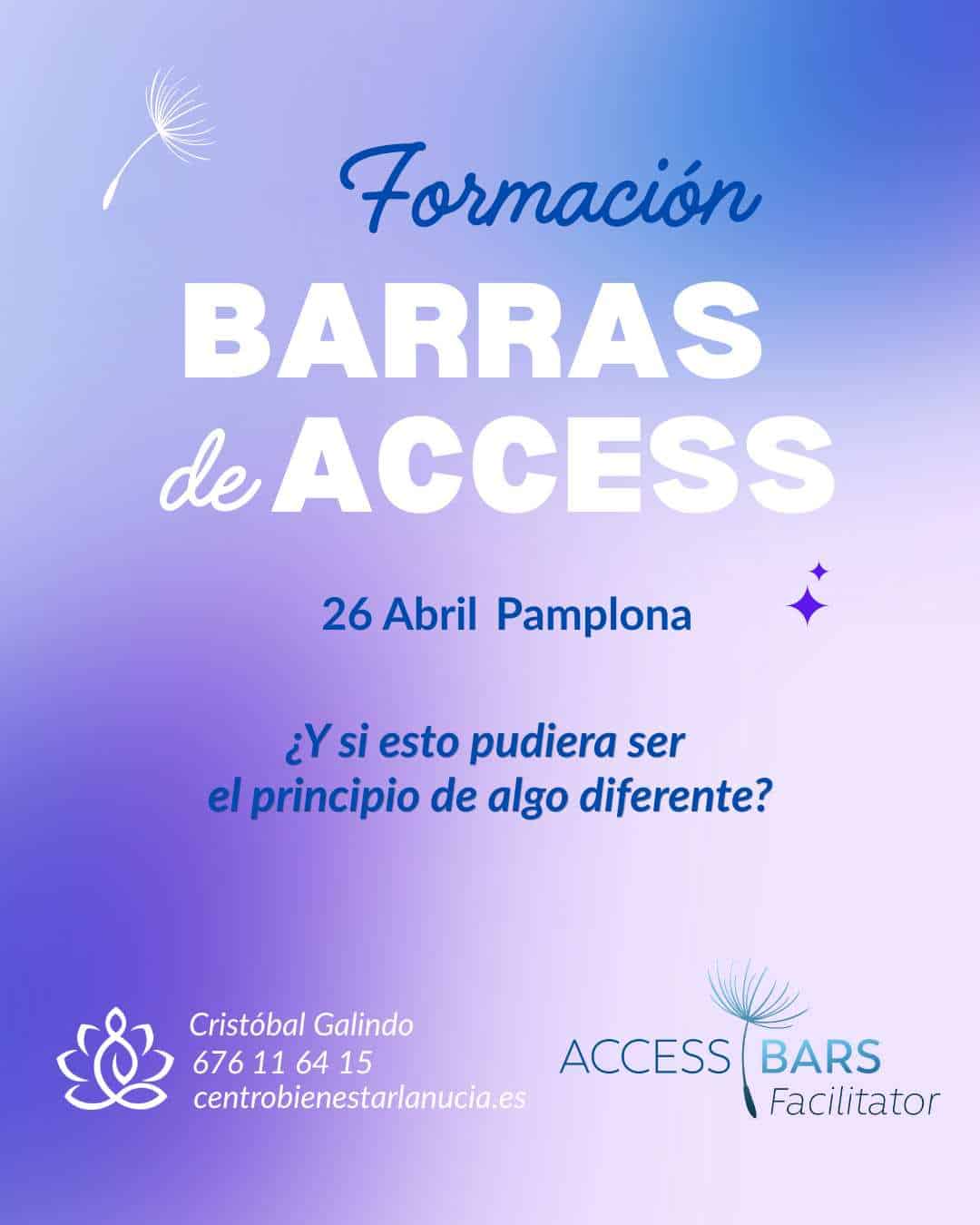 Curso Barras de Access Pamplona, Navarra
